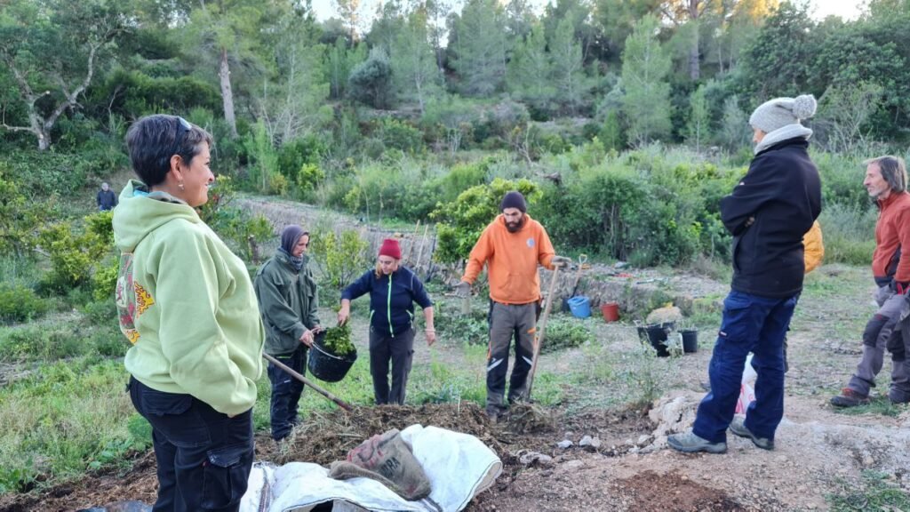 regeneración de paisajes y agroforestería